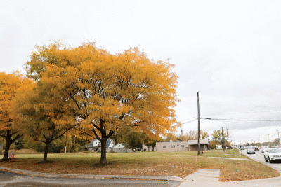  Vacant land along Mound Road north of 14 Mile is poised to become the site of new apartments after the Sterling Heights City Council approved a proposal Oct. 4. 