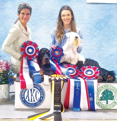  Stacy Threlfall and Ania Kelly pose for a picture with their champion showdogs, River, a 6-year-old Gordon Setter and the daily Best in Show champion of the Motor City Winter Dog Classic, and Reserve Best in Show Faith, a 4-year-old Sealyham Terrier. 