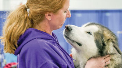  Novi had perfect Vibe for dog show following Westminster 
