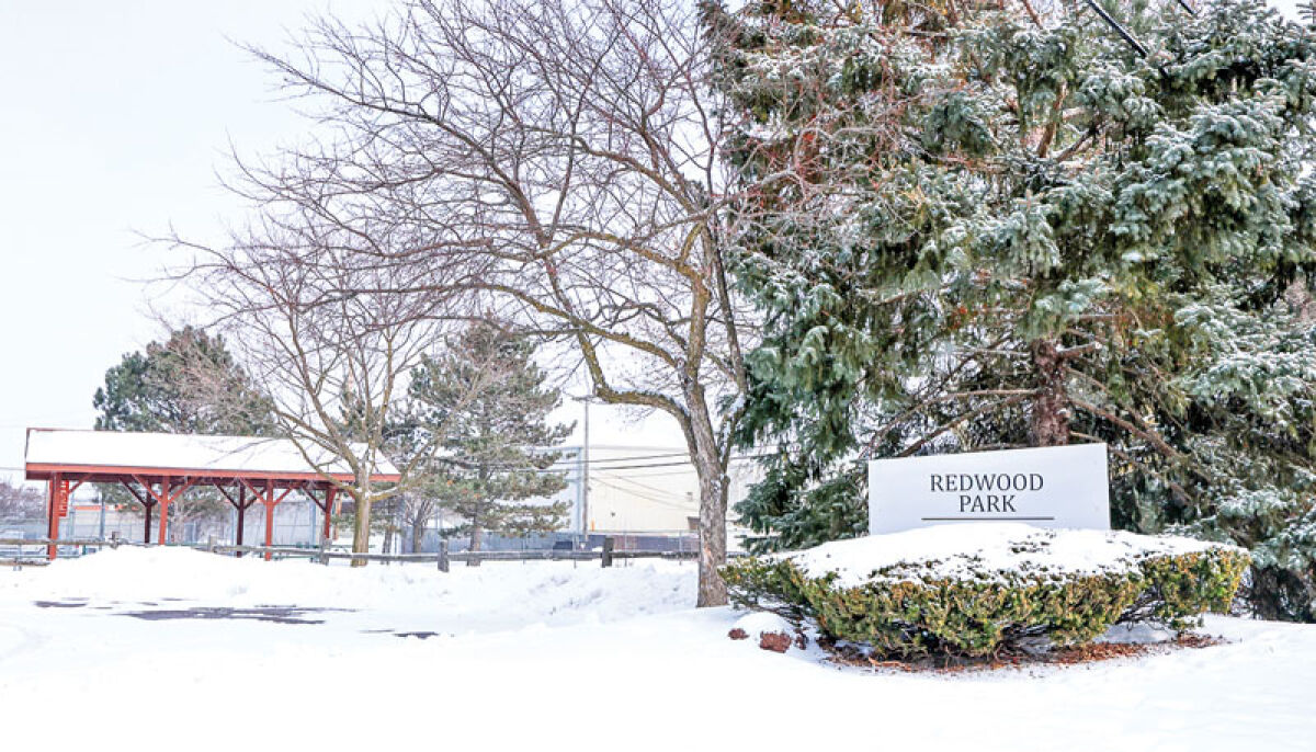  A view of Redwood Park in Troy. The city has been working on an update for its parks and recreation master plan, outlining priorities for the next half-decade of park development. 