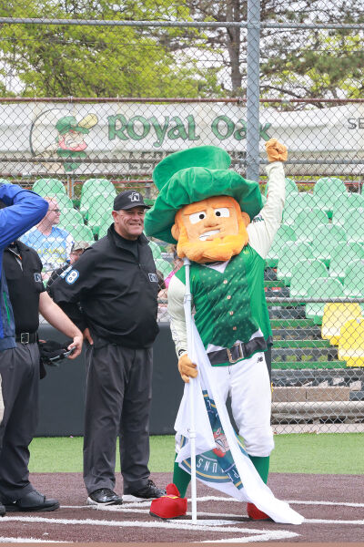  Royal Oak Leprechauns mascot Paddy O’Dinger stands on home plate before a game at Memorial Park on May 30 last year. 