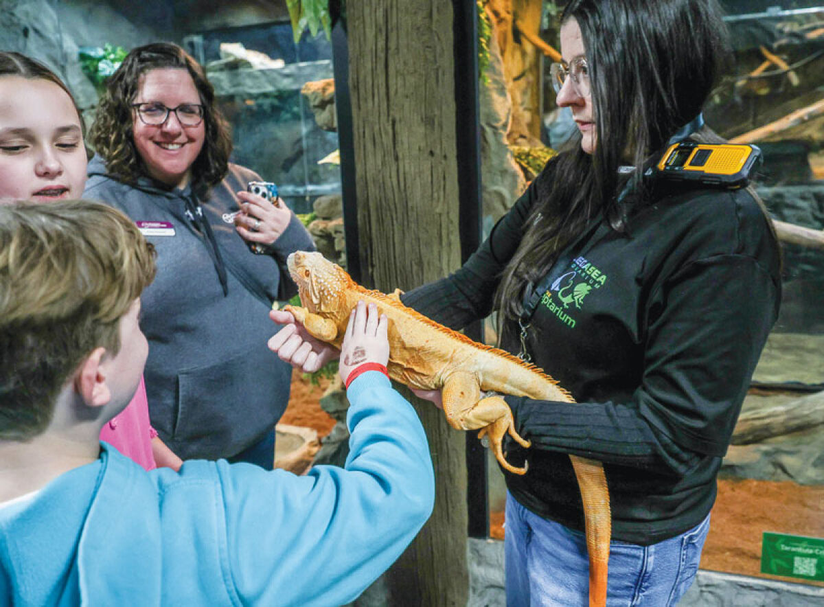  Students from Michigan Connections Academy, an online public school, take a field trip to the LegaSea Aquarium & Reptarium Feb. 13 