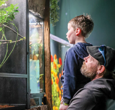   During a Michigan Connections Academy field trip, Dylan Korman, a 7-year-old second grader from Pinconning, gets a boost from his uncle, Dave Green, from White Lake, to view tree frogs at the LegaSea Aquarium & Reptarium. 