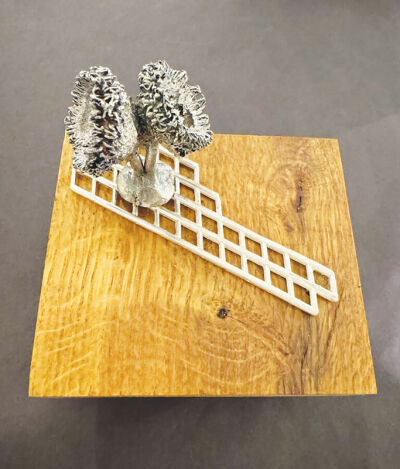 Lisa Harris’ “Pods”