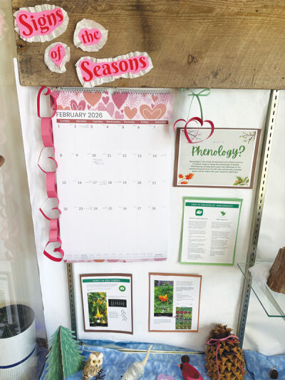  The center’s new phenology calendar display tracks  seasonal changes in plants and animals. 