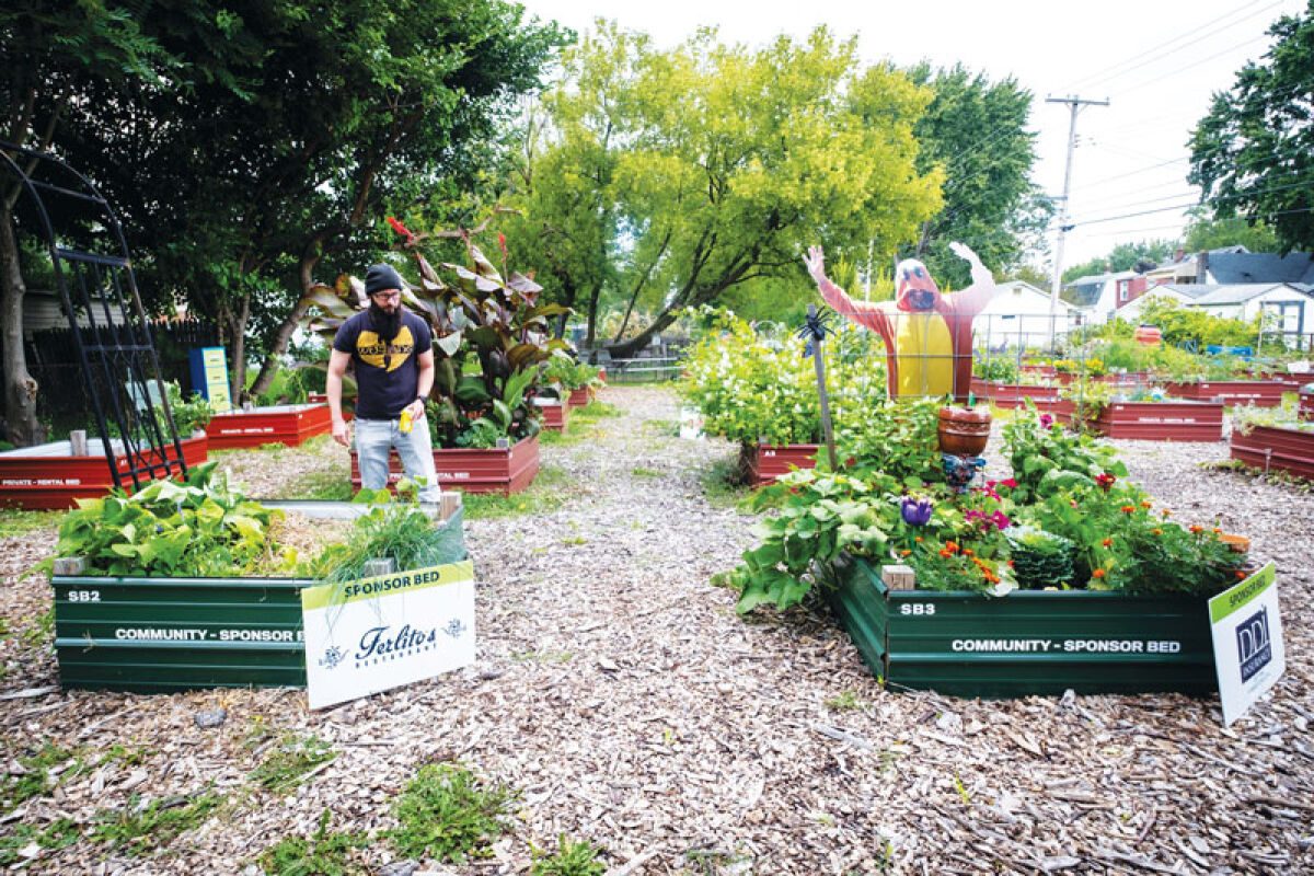  Urban Seed founder and treasurer John Hofmann walks past different beds Aug. 19, 2024, in the Eastpointe garden. 