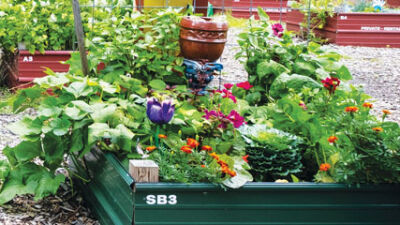  Community garden making changes, seeking volunteers 