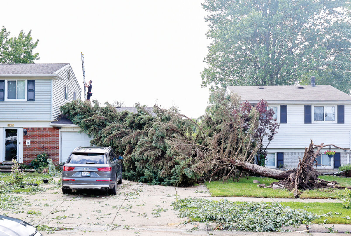  A tornado touched down in Fraser June 18, 2025, bringing down trees and branches in the area north of 14 Mile Road and east of Garfield Road. Pictured is an uprooted this tree, which fell on top of a Fraser home. 