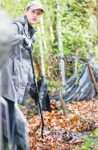  Mayor Pro Tem Laura Mikulski, one of the founders of the Ferndale Rat Patrol, points out one of a rat burrow’s entries on a resident’s property. 