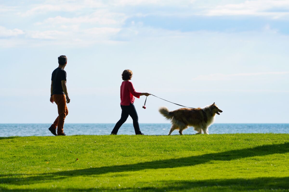  From events like Michigan Humane’s Mutt March to Edsel and Eleanor Ford House members walking their dogs on the grounds, the Ford House estate property makes for a scenic place to stroll with a pooch or two. 