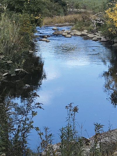  Beverly Hills received grant services from Six Rivers Land Conservancy. 