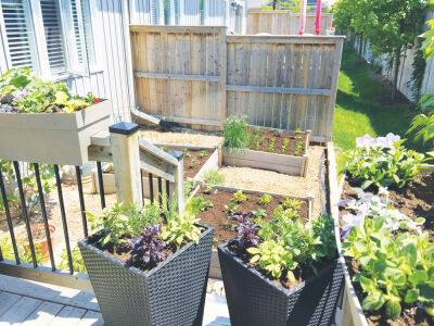  The Michigan State University Extension offers gardening resources that emphasize that beginners can successfully grow food in small spaces using methods like raised beds, containers and square-foot gardening.  