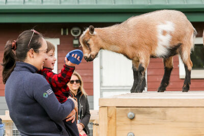  The trails feature up-close animal interactions including a chance to brush goats. Goats enjoy being groomed. 