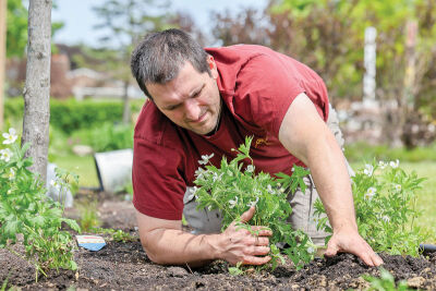  Fraser Beautification Club volunteer Jacob Heaney places some native plants in the new rain garden. 