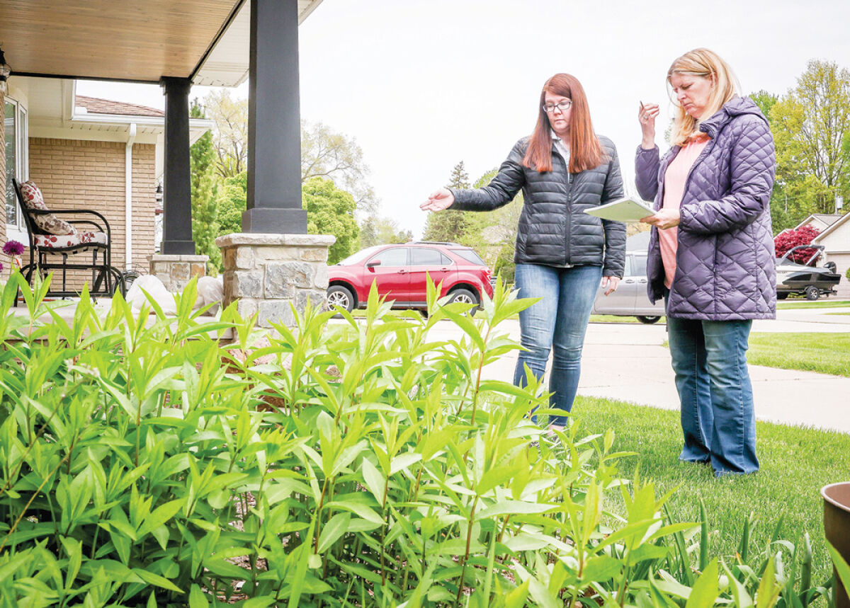  Garden coach Liz Will, left, talks with client Jenell Dombruski at her Clinton Township home. The healthy hosta can be separated and moved to other parts of Dombruski’s garden beds. 