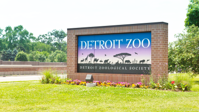  Sunset at the Zoo to return June 18 