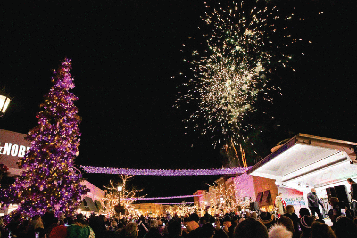  The Village of Rochester Hills will debut over 350,000 colored lights during a free evening of entertainment Nov. 18. 