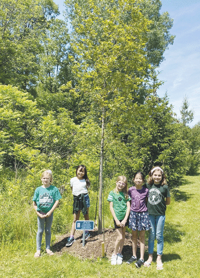  From the left, Emma Faysal, Reina Kitsuda, Clare Schallmo, Olivia Taur and Ellie Faysal smile for a picture next to the first tree planted through Cans for Climate  at Wildlife Woods Park in Novi on the last day of school in June. 