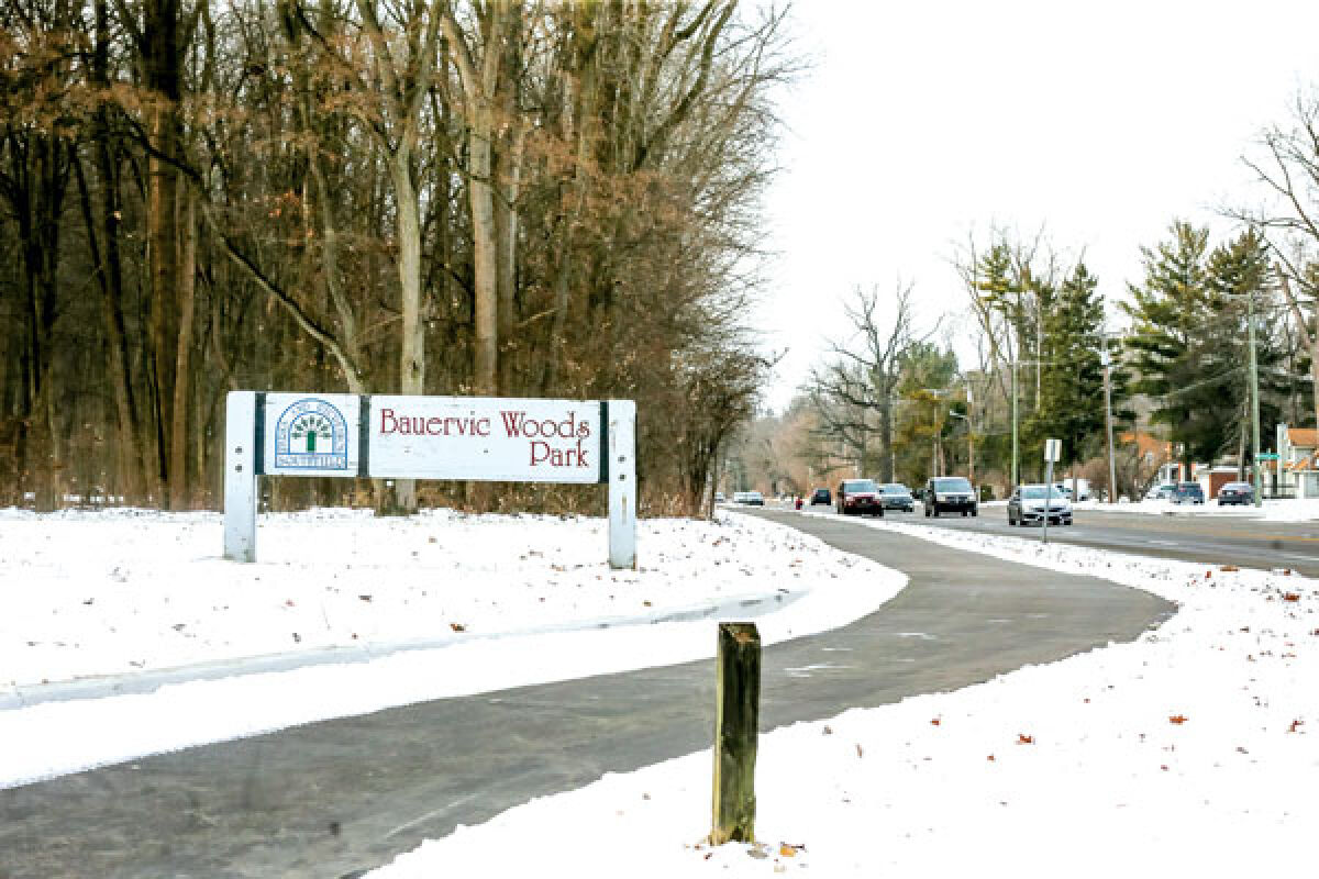  Bauervic Woods, pictured above, and Beech Woods parks are two Southfield parks along the Nine Mile corridor. 