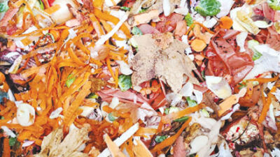  Recycling authority encourages community composting 