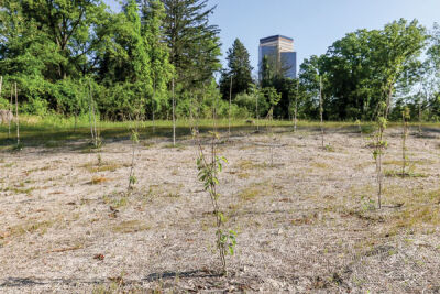  Once restoration is completed, it will have added 20 constructed habitat structures, 2 acres of restored wetland, 1,000 feet of restored flood plain and 1,800 feet of restored stream to Tamarack Creek. 