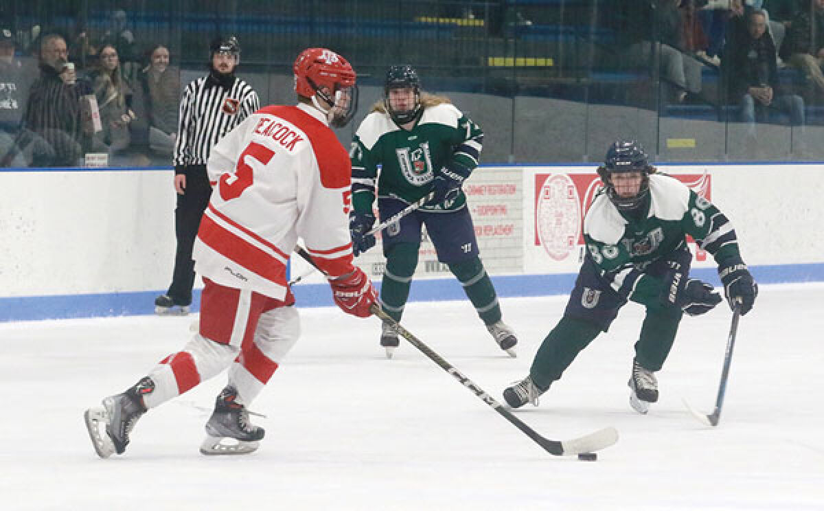  Chippewa Valley United sophomore Ethan Stabnick attempts to gain possession of the puck in Chippewa Valley United’s game against Anchor Bay High School on Feb. 10 at Suburban Ice Macomb. 