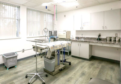  This is the surgical room of the new APAWS Veterinary Hospital. 