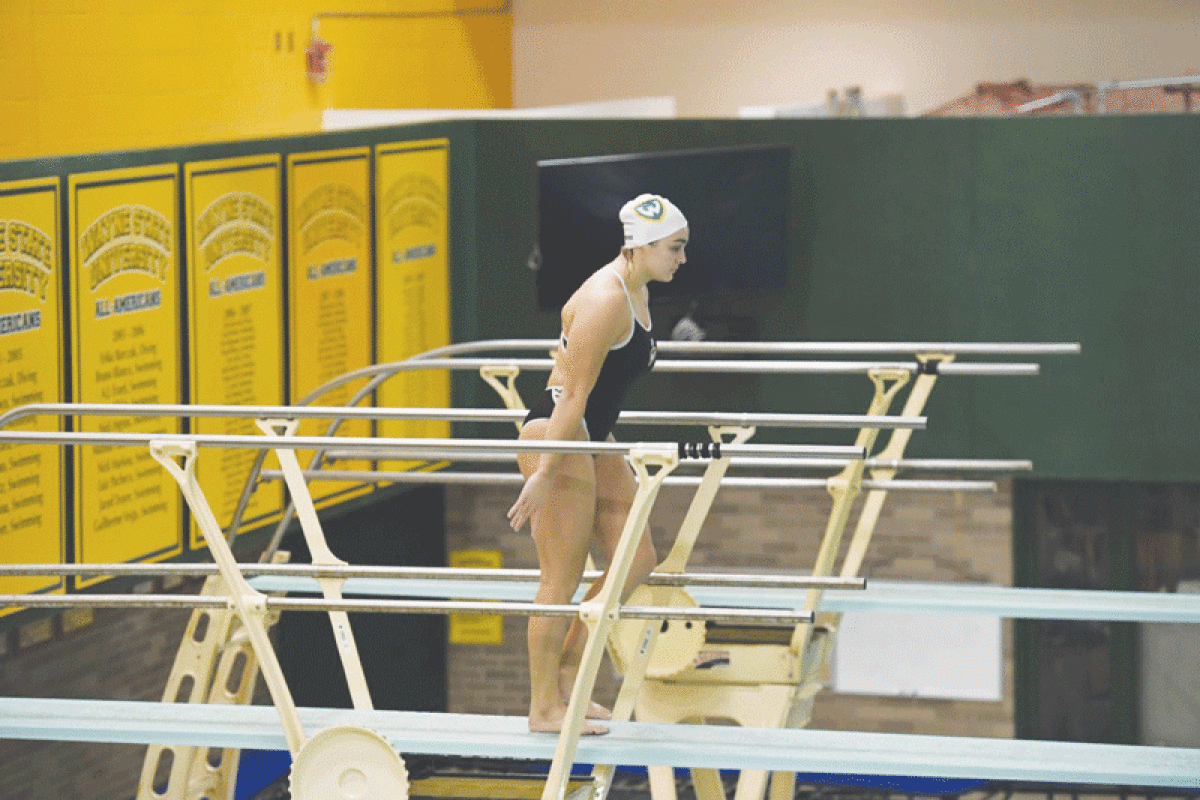  Mikael Senkus prepares for a dive at a  competition.  