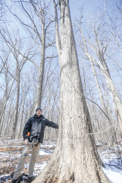  Benjamin Prowse, full-time naturalist at the Red Oaks Nature Center, has been using binoculars to watch the hawks as they build their nest and prepare to lay eggs. The nature center hosts programs throughout the year, including a maple sugaring demonstration in the spring.   