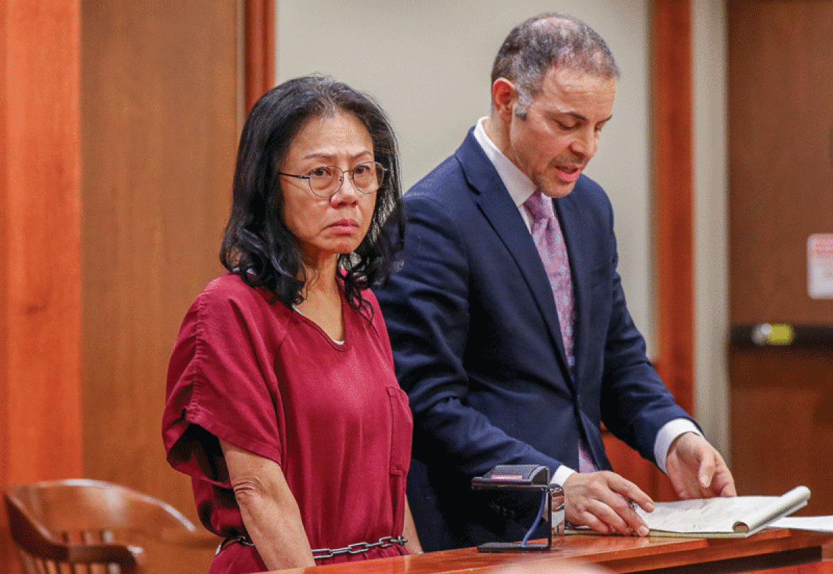  Defense attorney Jalal Dallo argues bond on behalf of his client, Tubtim “Sue” Howson. 