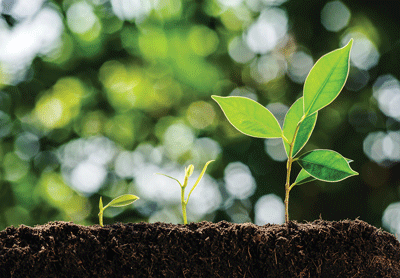  The Franklin Public Library is holding a plant and seed swap April 22. Plant enthusiasts are encouraged to participate in Franklin’s first plant and seed swap. 