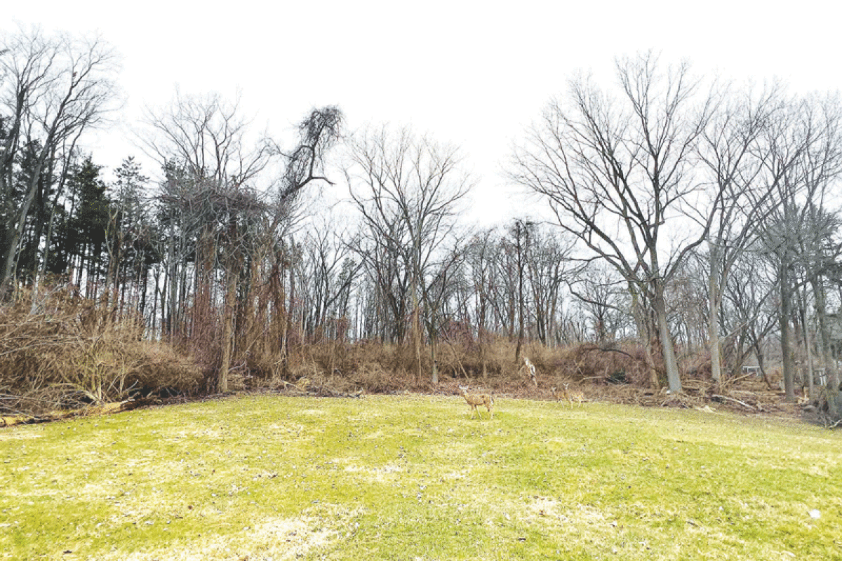  The city of Rochester Hills is hoping to acquire some undeveloped land on South Rochester Road to potentially act as a trail corridor that would eventually link up to the Clinton River Trail. 