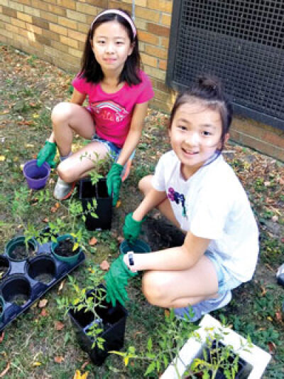  The Troy Community Coalition will once again be inviting local children to its annual summer camp program July 11-Aug. 3. 