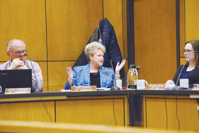  Mount Clemens City Commissioner Barb Dempsey speaks up during the April 3 meeting to discuss issues she has with approving the GFL Environmental Inc. waste services contract renewal. Her questions led to the item being tabled until more information is available.  