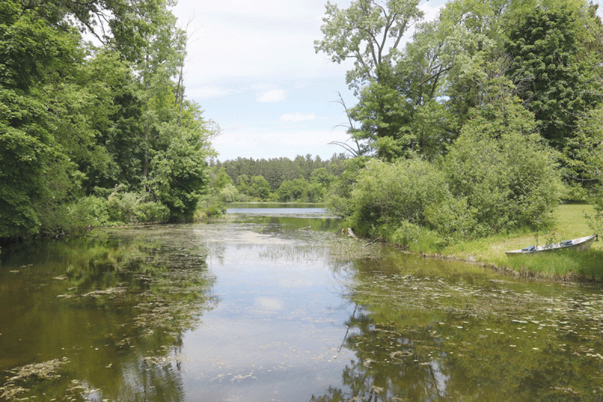  Oakland Township has purchased property on Lake George Road, adjacent to the Lost Lake Nature Park, that has  been renamed the “Fox Nature Preserve.” 