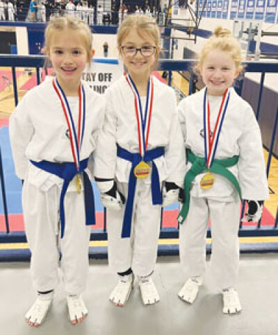  From the left, Troy Martial Arts competitors Josephine Smith, Allison Smith and Claire Cousins showcase their gold medals at the USAT Michigan State Taekwondo Championships at Livonia Stevenson High School March 25. 
