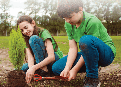  Trees and plants will be available for pickup and purchase at the Clinton Township Civic Center on April 28 and April 29.  