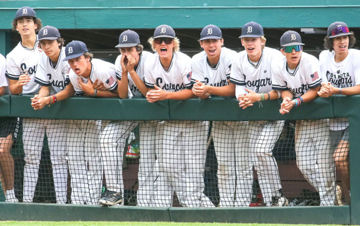  The Macomb Dakota dugout looks on during the team’s Michigan High School Athletic Association Division 1 semifinals matchup against Brownstown Woodhaven at Michigan State University. 