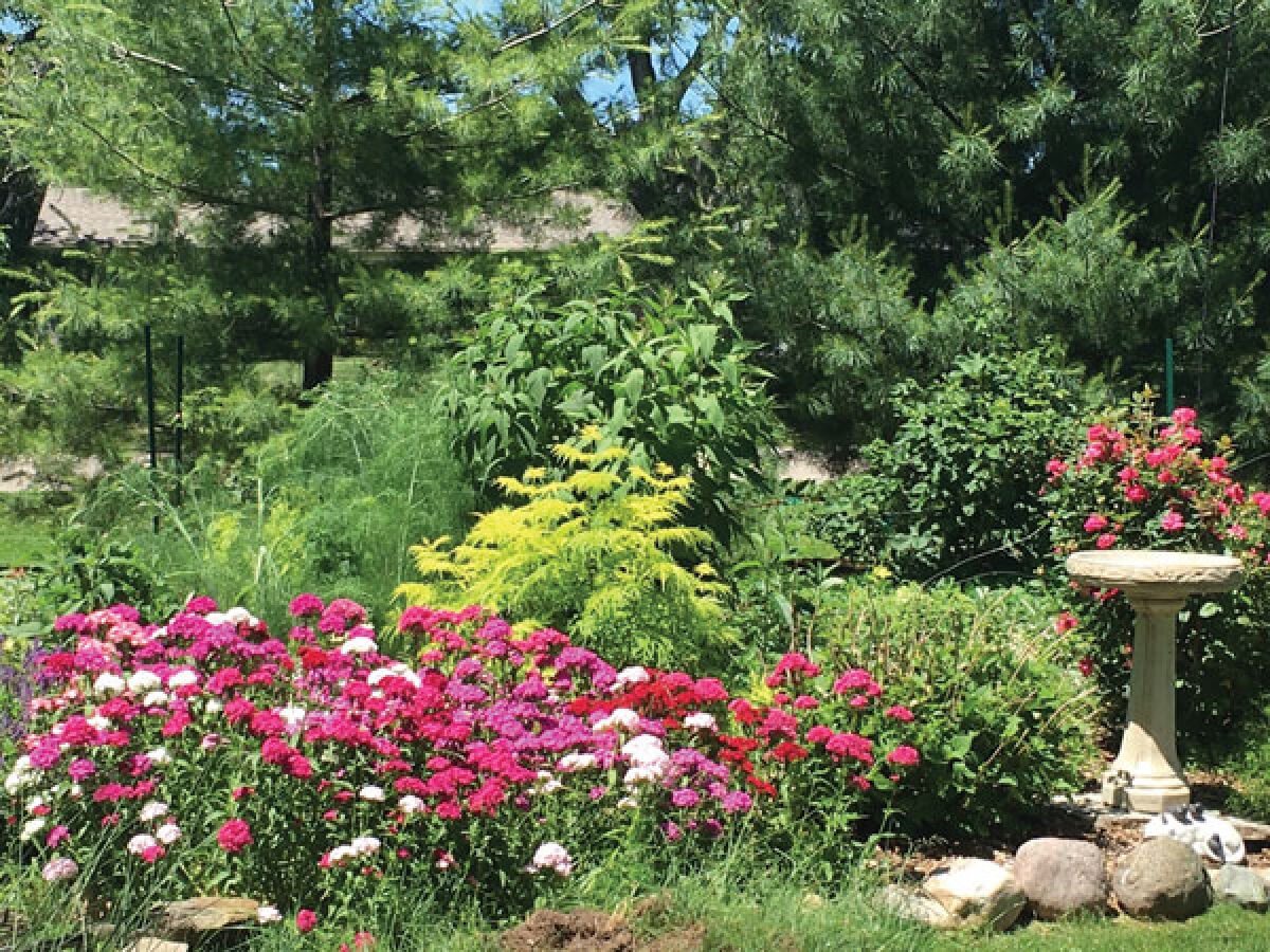  Amy Bascom’s garden will be among those on the 2022 Troy garden walk. 