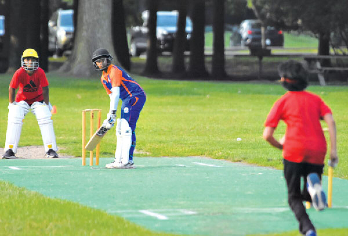  Raintree Park in Troy will be getting a new cricket field in 2024 after funds for it were approved in the state budget June 28. 