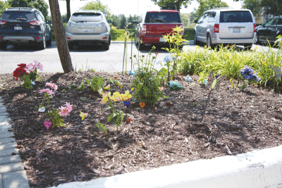  Baty gardens in several spots around The Parkdale Senior Living, including this plot in front of the entrance. Baty has been able to continue her passion for gardening, which includes the co-creation of a sprawling garden with her husband at their old home in Mount Clemens. 