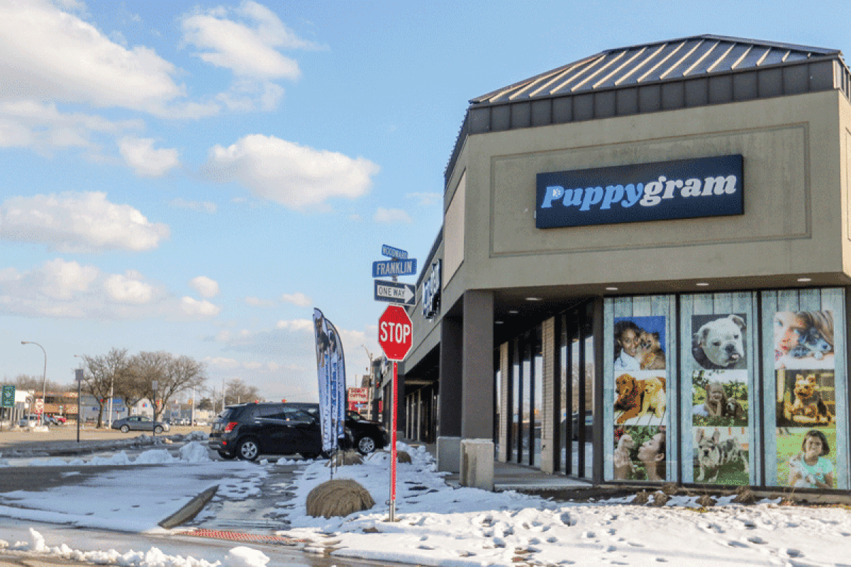  The Berkley City Council approved on July 17 the first reading of a proposed ordinance that would prohibit future businesses from establishing themselves in Berkley to sell dogs, cats and rabbits, as well as “phase out” the business model of established pet store Puppygram on Woodward Avenue. 