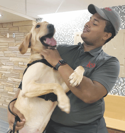  Tony Stokes, of Zebra K9, takes a minute with Intel, one of the two new K-9 dogs in Van Dyke Public Schools.  