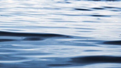  Swimmer dies in Walled Lake 