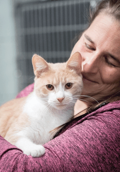  Jillian Whalin, manager of the Madison Heights Animal Shelter at 801 Ajax Drive, holds Batman, a young domestic short-hair cat. He has been at the shelter since July after he was found thrown out with the trash at an apartment complex. He is currently looking for a home. 