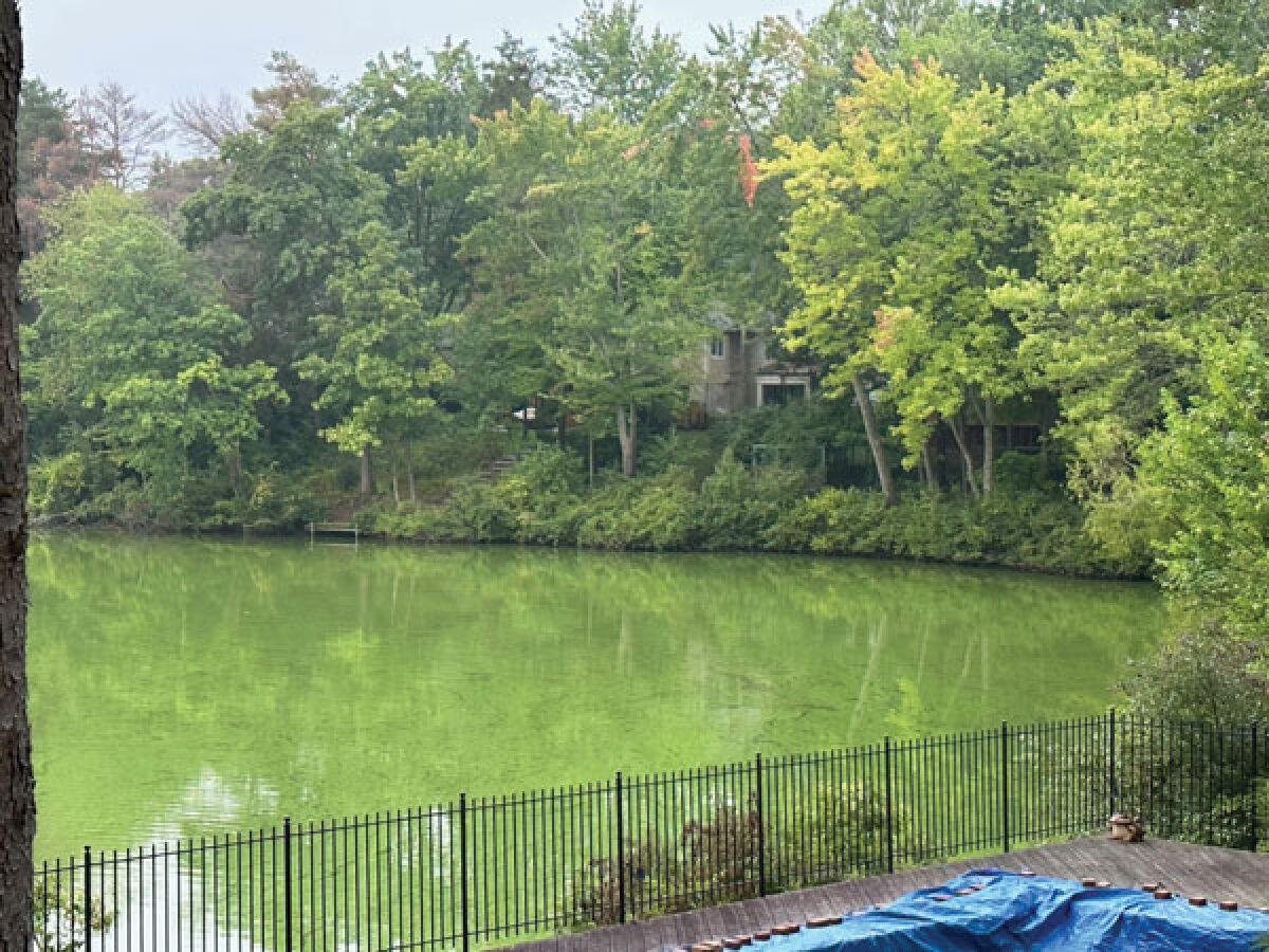  West Bloomfield resident Sally Wenczel, who is part of the township’s Environmental Commission, is concerned about the presence of harmful algal blooms, also known as HABs, on West Bloomfield Lake. 