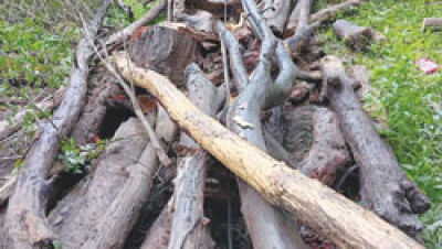  Logjams cleared in Clinton River 