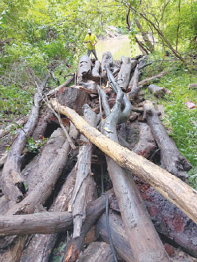  Approximately 70 tons of logs have been removed from the Clinton River in Macomb County under a project directed by the Macomb County Public Works Office. 