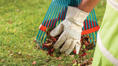  Mayor’s Big Rake event needs volunteers 