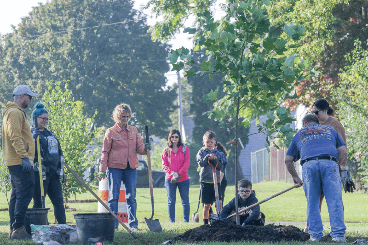  Volunteers and city staff gather at Karam Park for a tree-planting event led by ReLeaf Michigan Sept. 30. Some residents have been concerned about the city’s dwindling tree canopy. 